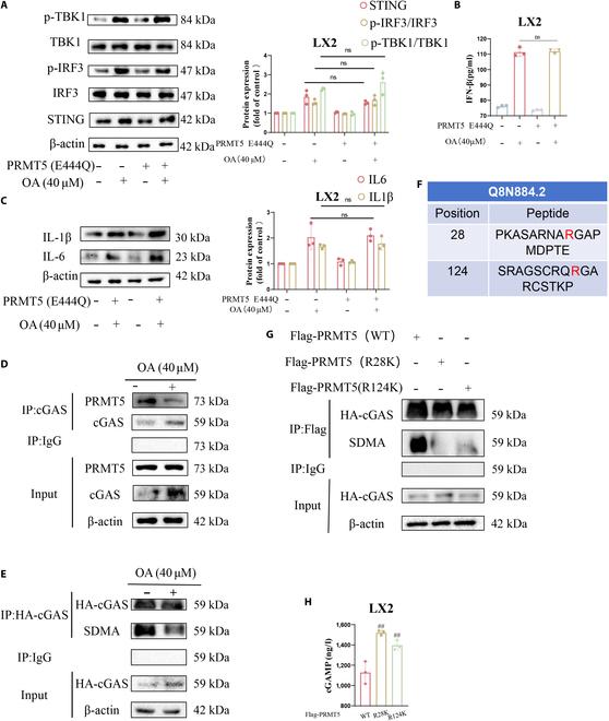 https://cdn.ncbi.nlm.nih.gov/pmc/blobs/ae7a/12329212/5f1a08350994/research.0808.fig.002.jpg