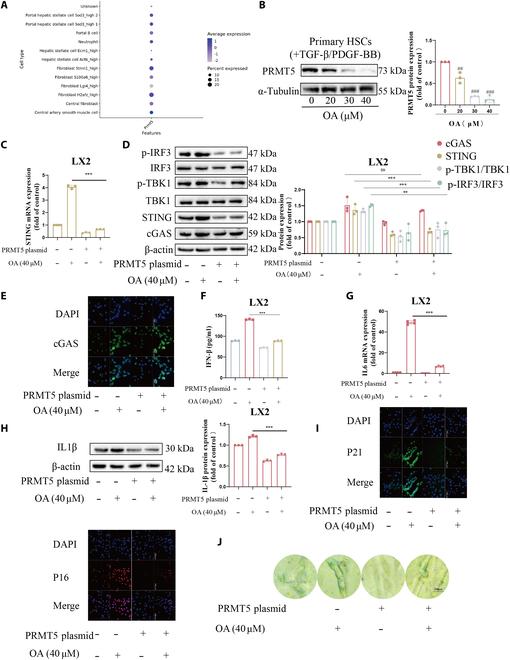 https://cdn.ncbi.nlm.nih.gov/pmc/blobs/ae7a/12329212/981dce9e569c/research.0808.fig.001.jpg