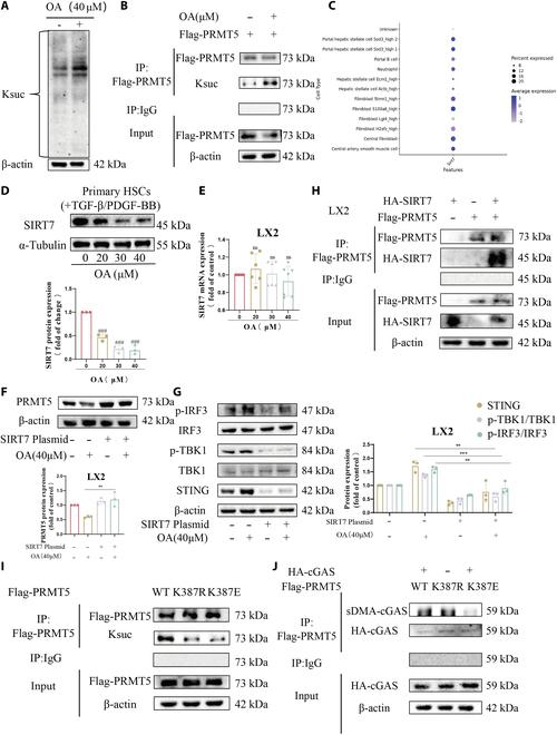 https://cdn.ncbi.nlm.nih.gov/pmc/blobs/ae7a/12329212/b214eb52958d/research.0808.fig.003.jpg