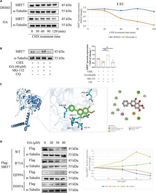 https://cdn.ncbi.nlm.nih.gov/pmc/blobs/ae7a/12329212/d4dbfb70c0d0/research.0808.fig.005.jpg