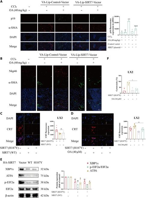 https://cdn.ncbi.nlm.nih.gov/pmc/blobs/ae7a/12329212/f720d5629d2c/research.0808.fig.008.jpg