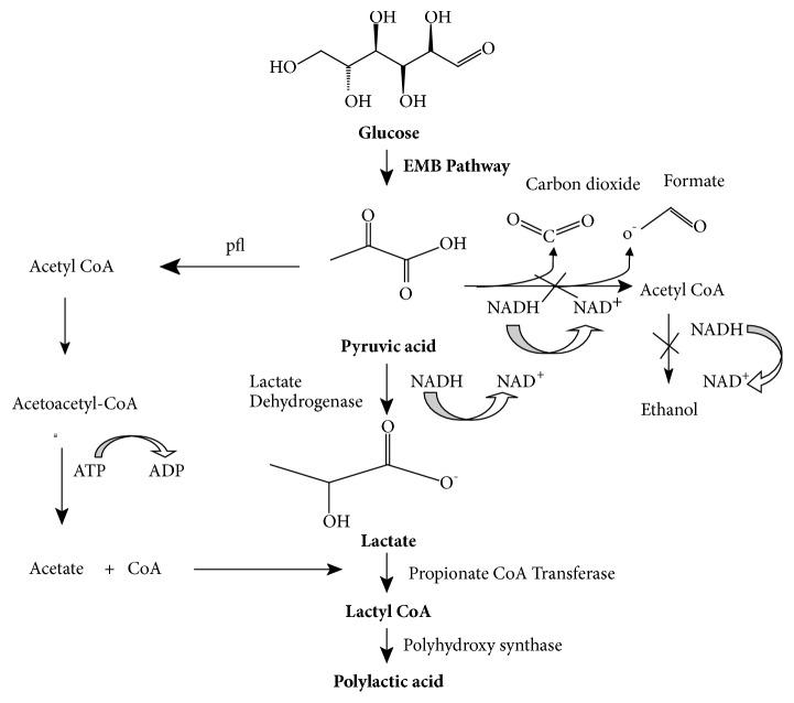 https://cdn.ncbi.nlm.nih.gov/pmc/blobs/ae7a/6158955/6ced5902e547/IJBM2018-1963024.005.jpg