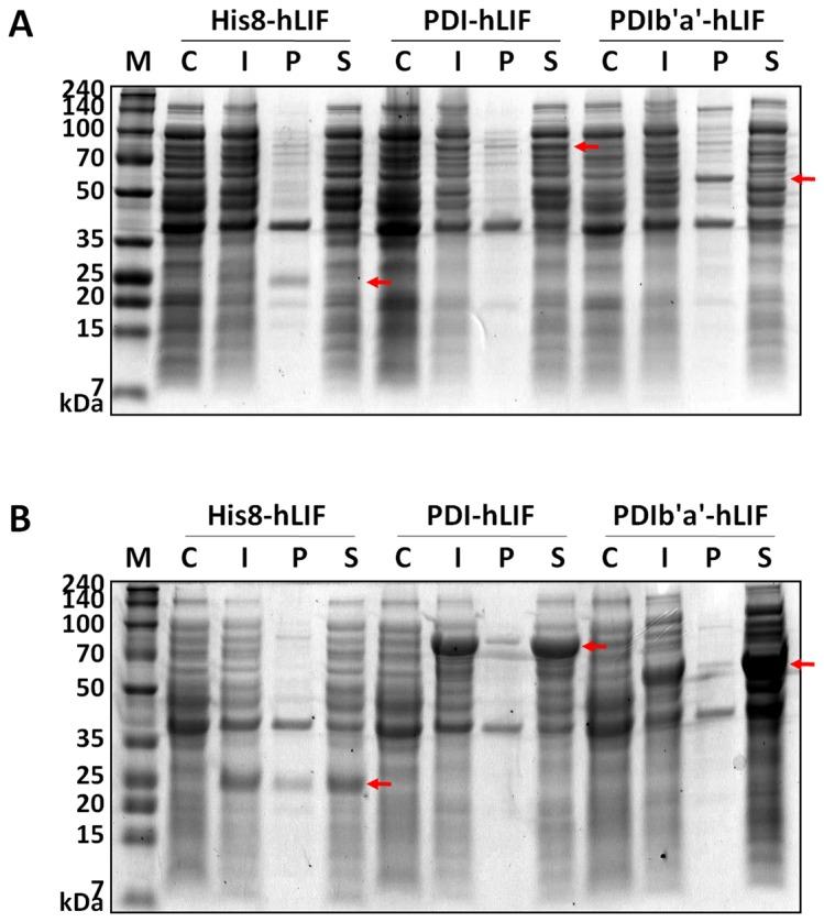 https://cdn.ncbi.nlm.nih.gov/pmc/blobs/ae80/3865251/d1e221282cdc/pone.0083781.g002.jpg