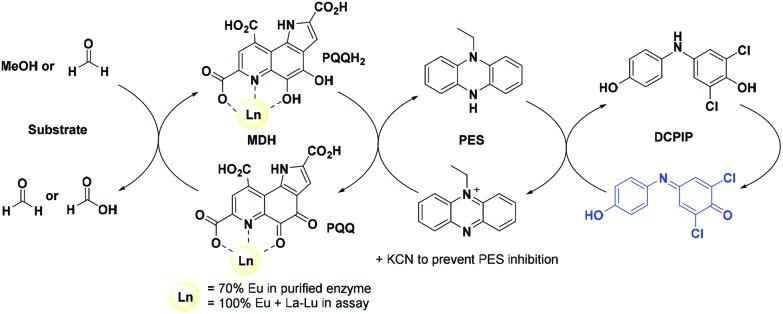 https://cdn.ncbi.nlm.nih.gov/pmc/blobs/ae81/6085770/7cfdb6545063/c8dt01238e-s1.jpg
