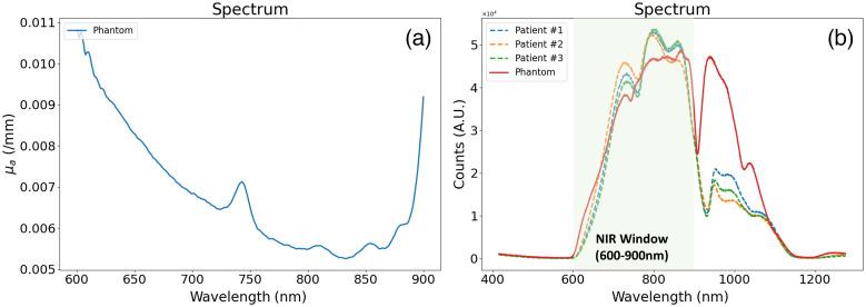 https://cdn.ncbi.nlm.nih.gov/pmc/blobs/ae82/10118137/627203c8799e/JBO-028-046006-g006.jpg