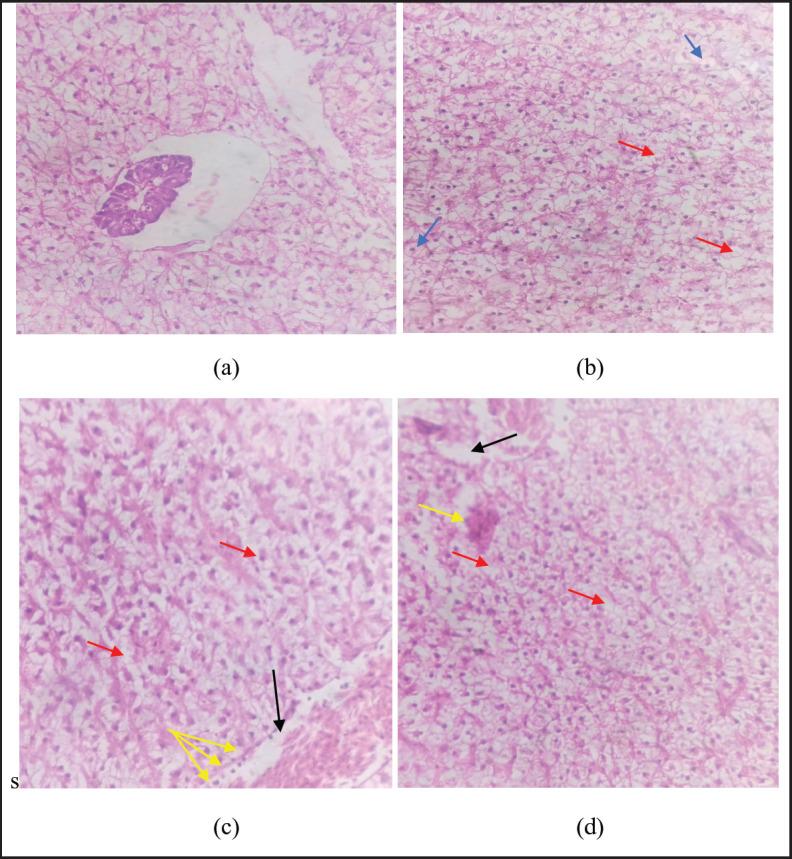https://cdn.ncbi.nlm.nih.gov/pmc/blobs/ae83/11296164/2554563ad905/JAVAR-11-463-g006.jpg