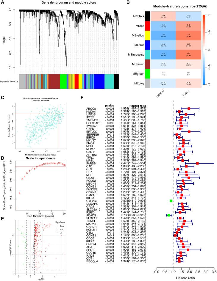 https://cdn.ncbi.nlm.nih.gov/pmc/blobs/ae86/12226479/540b817381a9/fimmu-16-1606711-g002.jpg