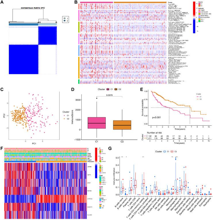 https://cdn.ncbi.nlm.nih.gov/pmc/blobs/ae86/12226479/6a5b2933d3ec/fimmu-16-1606711-g004.jpg