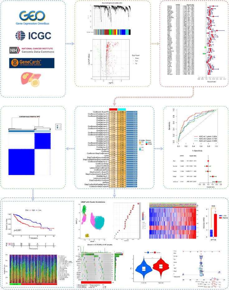 https://cdn.ncbi.nlm.nih.gov/pmc/blobs/ae86/12226479/cd27d01c552c/fimmu-16-1606711-g001.jpg