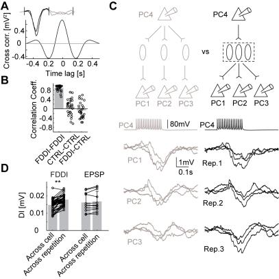 https://cdn.ncbi.nlm.nih.gov/pmc/blobs/ae87/2935452/69447bab1455/pbio.1000473.g004.jpg