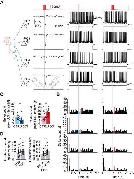 https://cdn.ncbi.nlm.nih.gov/pmc/blobs/ae87/2935452/7b662194a744/pbio.1000473.g005.jpg