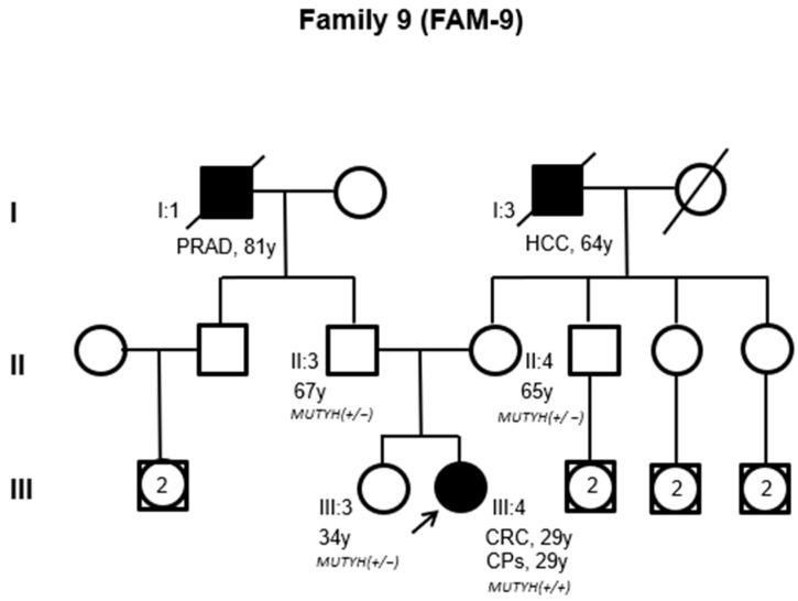 https://cdn.ncbi.nlm.nih.gov/pmc/blobs/ae88/11544946/3467f0b3d9a8/cancers-16-03617-g003.jpg