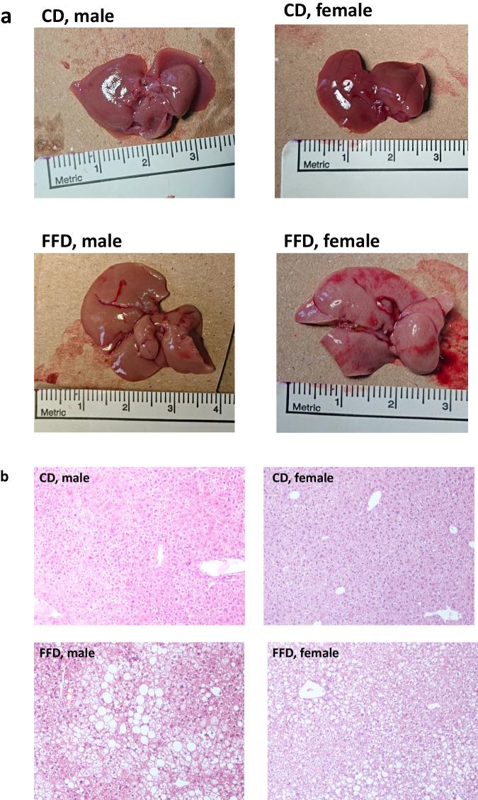 https://cdn.ncbi.nlm.nih.gov/pmc/blobs/ae89/11291610/4efb4a7bba83/12020_2024_3769_Fig3_HTML.jpg