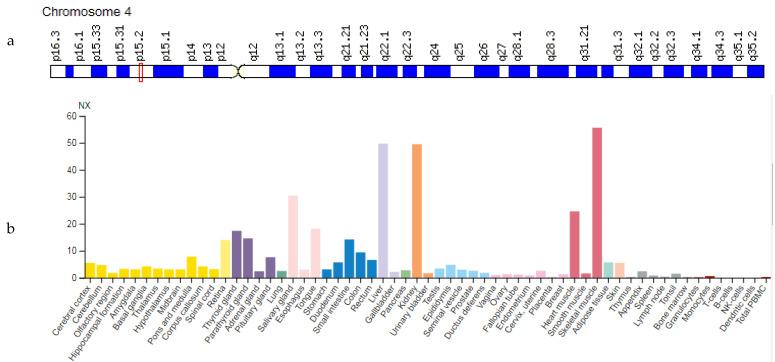 https://cdn.ncbi.nlm.nih.gov/pmc/blobs/ae89/8625318/689121d46730/genes-12-01682-g004.jpg
