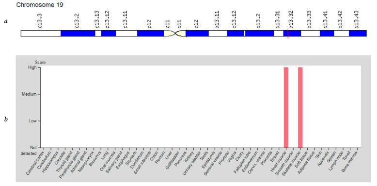 https://cdn.ncbi.nlm.nih.gov/pmc/blobs/ae89/8625318/8b3d1c76db1d/genes-12-01682-g006.jpg