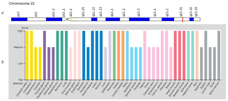 https://cdn.ncbi.nlm.nih.gov/pmc/blobs/ae89/8625318/f7c0694e6aa2/genes-12-01682-g005.jpg