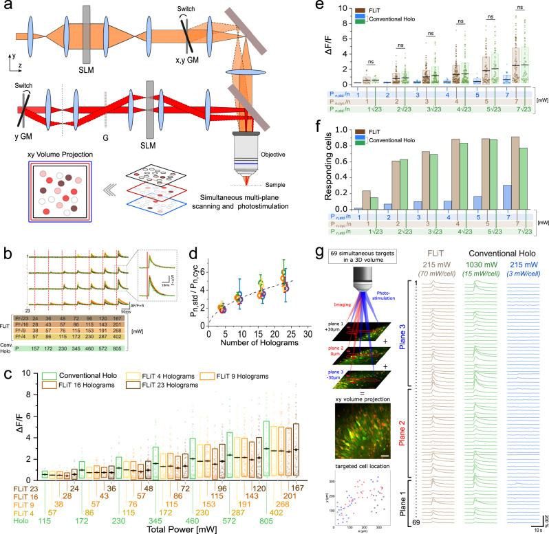 https://cdn.ncbi.nlm.nih.gov/pmc/blobs/ae8b/10076322/16eeded975cf/41467_2023_37416_Fig4_HTML.jpg