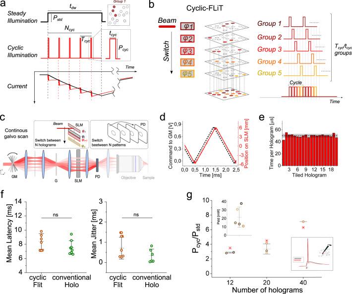 https://cdn.ncbi.nlm.nih.gov/pmc/blobs/ae8b/10076322/568aa0c3816b/41467_2023_37416_Fig3_HTML.jpg