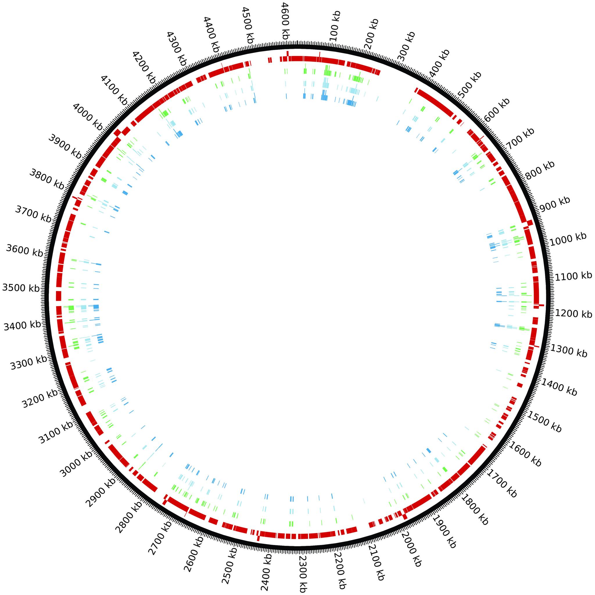 https://cdn.ncbi.nlm.nih.gov/pmc/blobs/ae8b/8420889/dffb035f6aad/f1000research-10-76417-g0003.jpg