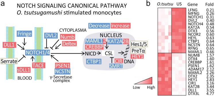 https://cdn.ncbi.nlm.nih.gov/pmc/blobs/ae8d/11288987/dcc6c55b4d4b/15010_2024_2192_Fig4_HTML.jpg