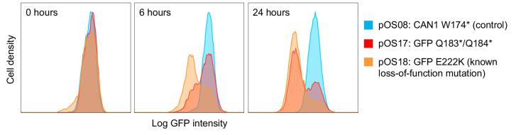 https://cdn.ncbi.nlm.nih.gov/pmc/blobs/ae8d/9633064/374d3a6161bf/elife-79525-fig1-figsupp3.jpg