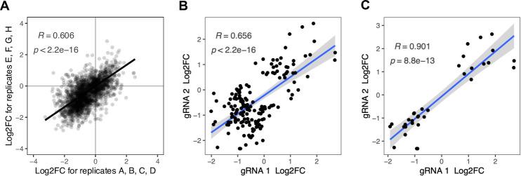 https://cdn.ncbi.nlm.nih.gov/pmc/blobs/ae8d/9633064/9ce2c029ea3e/elife-79525-fig3-figsupp1.jpg