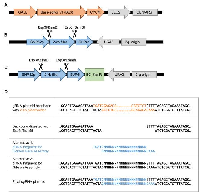 https://cdn.ncbi.nlm.nih.gov/pmc/blobs/ae8d/9633064/b2868dc3eb11/elife-79525-fig1-figsupp1.jpg