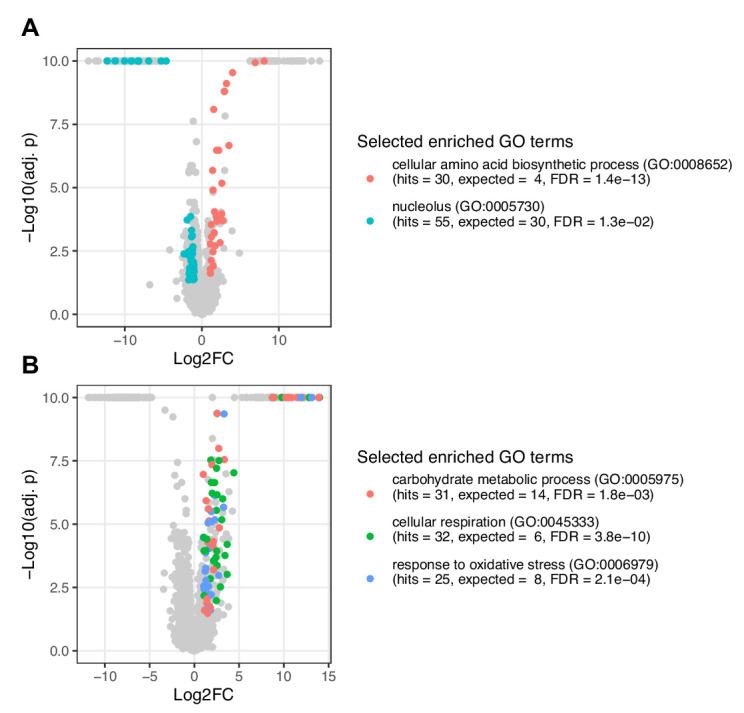 https://cdn.ncbi.nlm.nih.gov/pmc/blobs/ae8d/9633064/ccce08fc0890/elife-79525-fig5-figsupp1.jpg