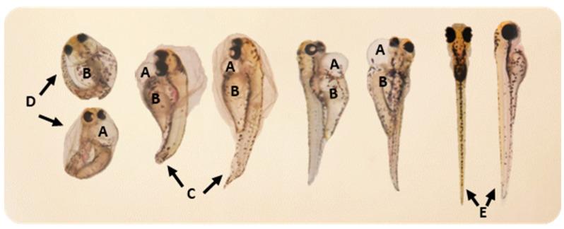 https://cdn.ncbi.nlm.nih.gov/pmc/blobs/ae8f/7996764/66f28970ac5d/toxics-09-00044-g005.jpg