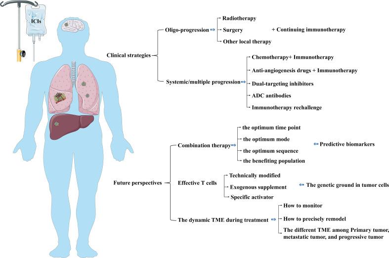 https://cdn.ncbi.nlm.nih.gov/pmc/blobs/ae90/10115980/fb1067440722/fimmu-14-1129465-g005.jpg