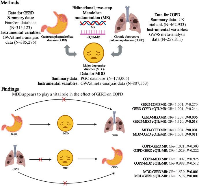https://cdn.ncbi.nlm.nih.gov/pmc/blobs/ae90/10315650/3d942bf3cd83/fgene-14-1198476-g005.jpg