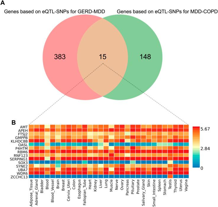 https://cdn.ncbi.nlm.nih.gov/pmc/blobs/ae90/10315650/a561375763c3/fgene-14-1198476-g004.jpg