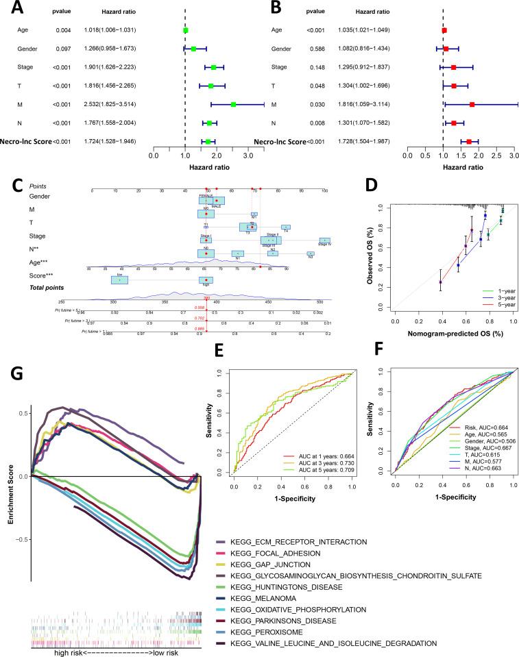 https://cdn.ncbi.nlm.nih.gov/pmc/blobs/ae90/12391139/4a201fda80e1/fimmu-16-1591252-g003.jpg