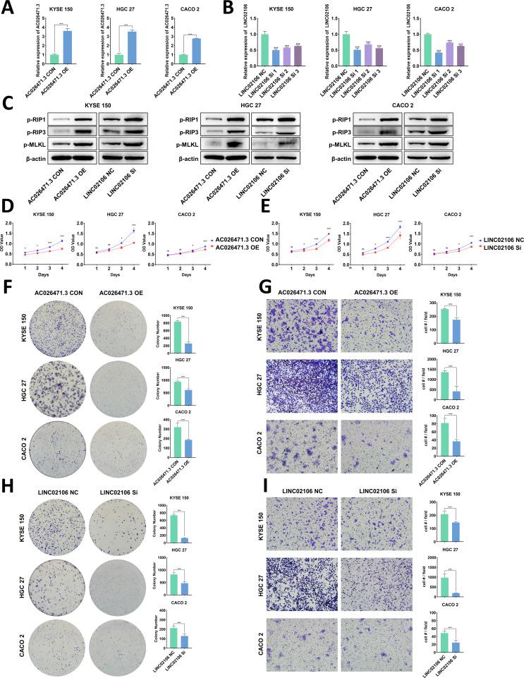 https://cdn.ncbi.nlm.nih.gov/pmc/blobs/ae90/12391139/7f23759e265b/fimmu-16-1591252-g008.jpg