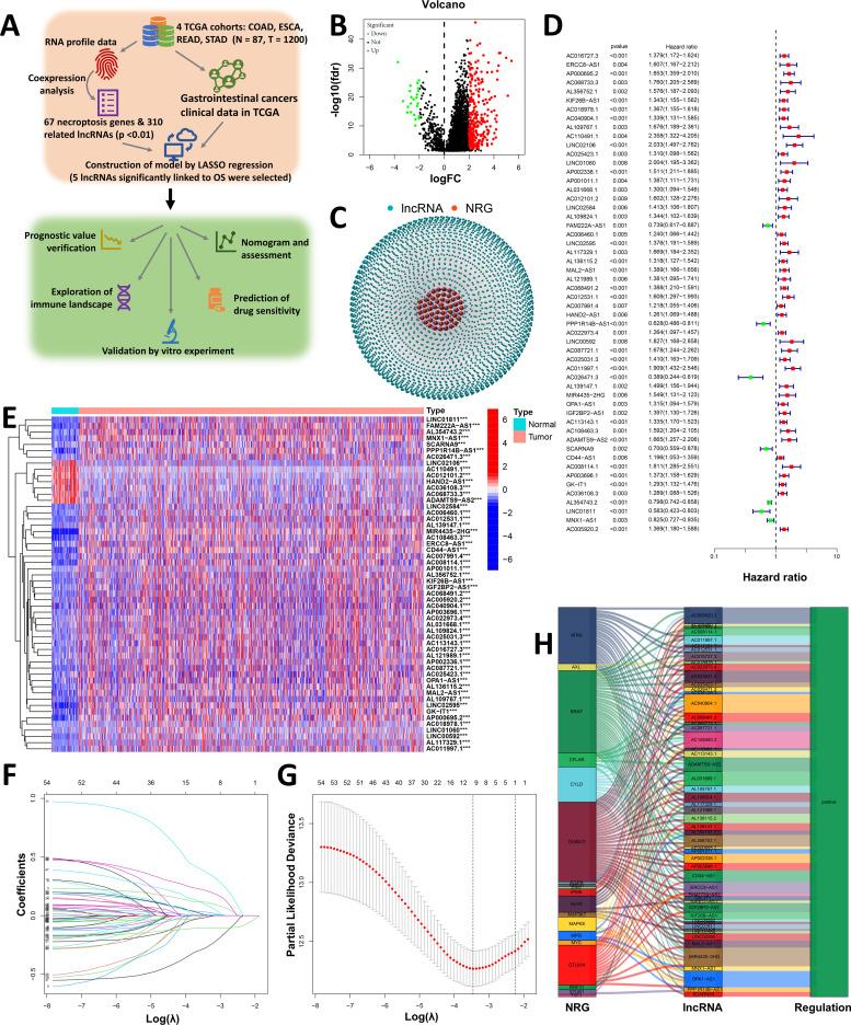 https://cdn.ncbi.nlm.nih.gov/pmc/blobs/ae90/12391139/ee492f7baa6a/fimmu-16-1591252-g001.jpg