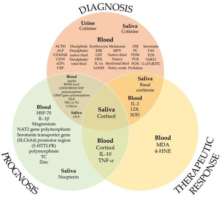 https://cdn.ncbi.nlm.nih.gov/pmc/blobs/ae93/8235100/2623ec7cd9d7/ijms-22-06619-g002.jpg