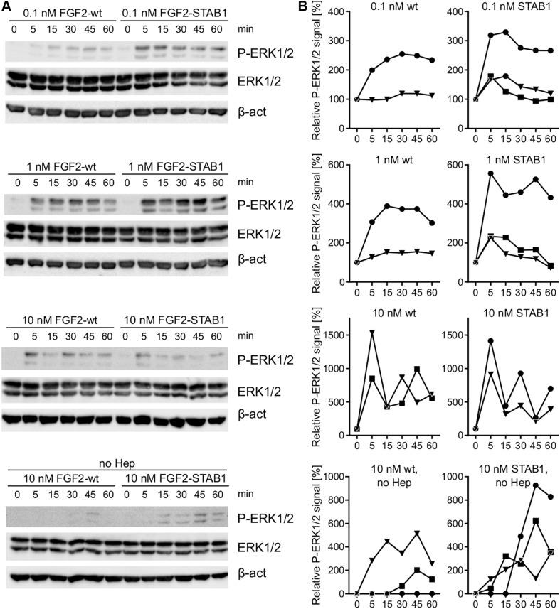 https://cdn.ncbi.nlm.nih.gov/pmc/blobs/ae95/6924264/526bc2234d7f/fcell-07-00331-g005.jpg