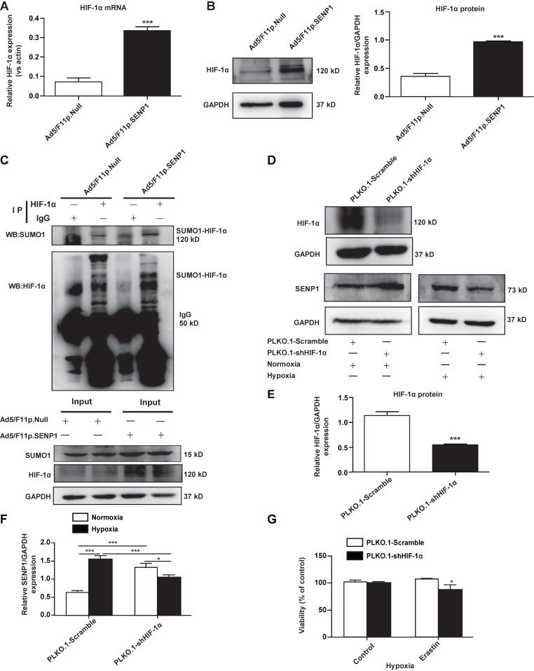 https://cdn.ncbi.nlm.nih.gov/pmc/blobs/ae95/7976564/295c23490853/ijmsv18p1618g006.jpg