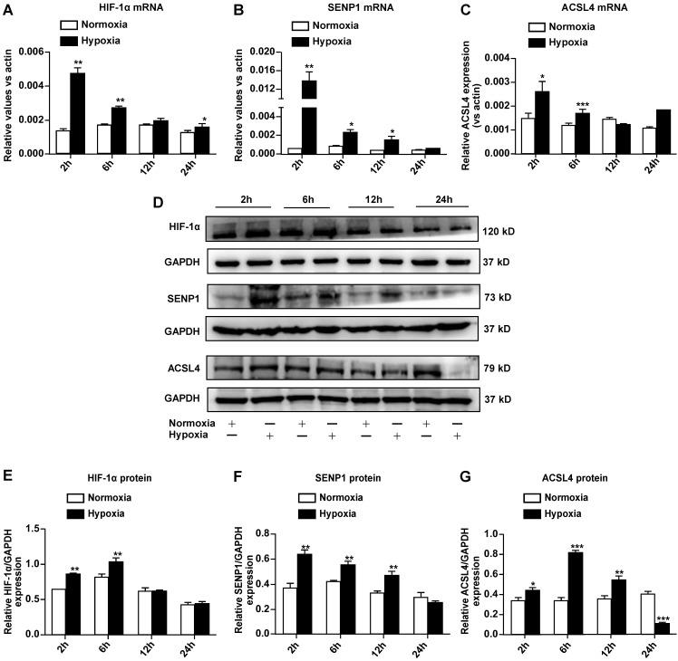 https://cdn.ncbi.nlm.nih.gov/pmc/blobs/ae95/7976564/66866d120edb/ijmsv18p1618g003.jpg