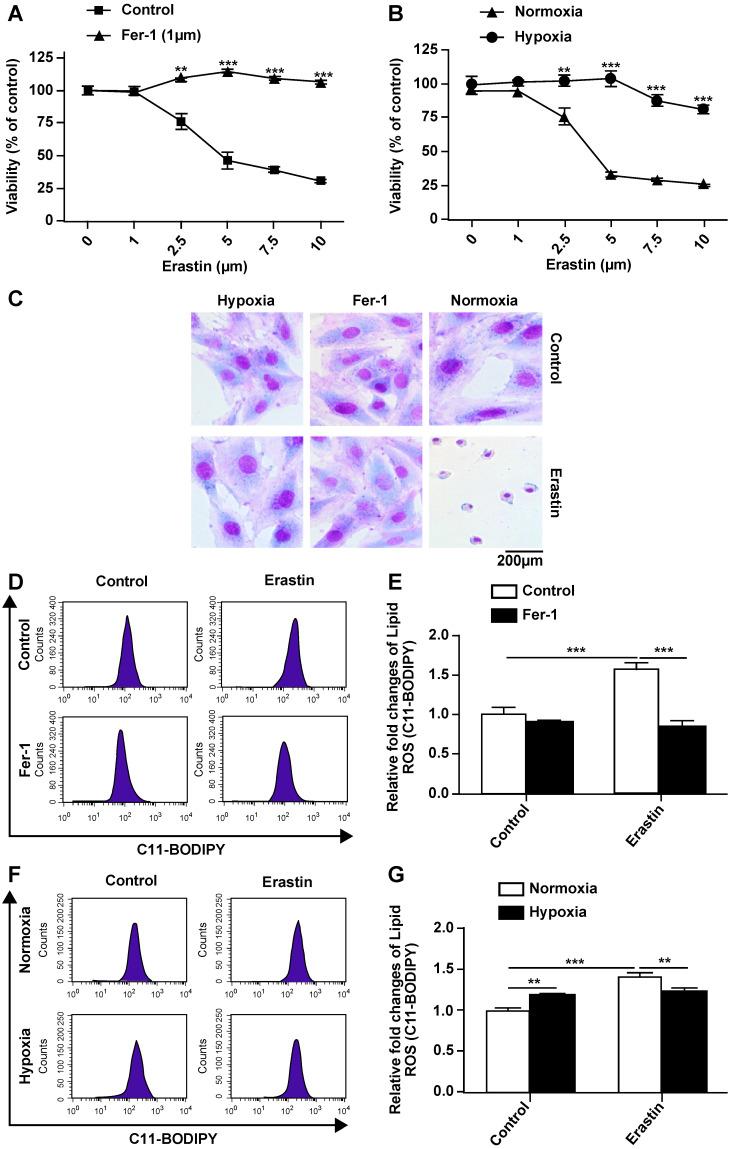 https://cdn.ncbi.nlm.nih.gov/pmc/blobs/ae95/7976564/ed37f9a43eb6/ijmsv18p1618g002.jpg