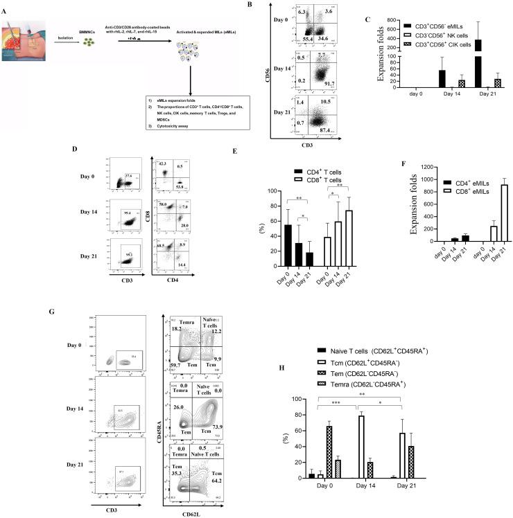 https://cdn.ncbi.nlm.nih.gov/pmc/blobs/ae97/12311938/e8fd8eb6b11a/gr1.jpg