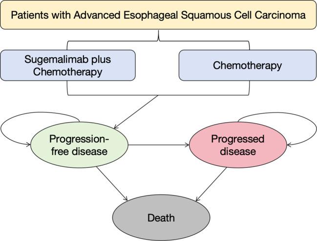 https://cdn.ncbi.nlm.nih.gov/pmc/blobs/ae98/12176590/c49c5134aa32/fonc-15-1459695-g001.jpg