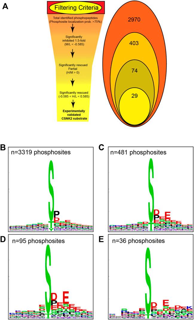 https://cdn.ncbi.nlm.nih.gov/pmc/blobs/ae98/9225150/9786d7b514be/fmolb-09-909711-g003.jpg