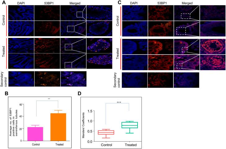 https://cdn.ncbi.nlm.nih.gov/pmc/blobs/ae98/9729358/3f9fae78dddd/fgene-13-1047746-g005.jpg
