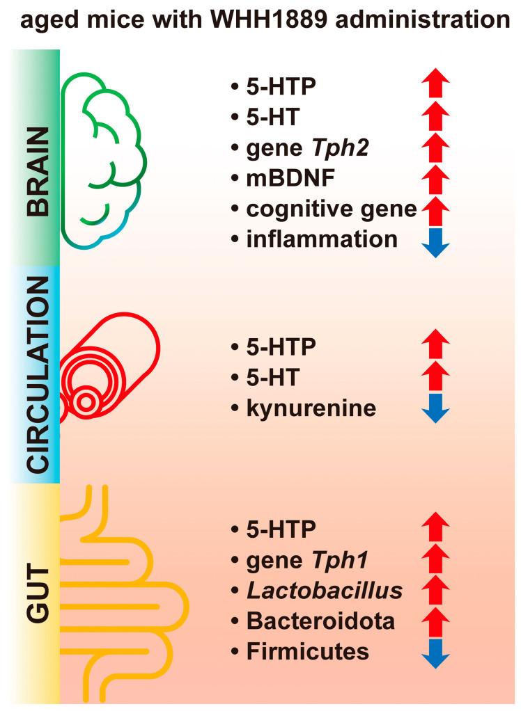 https://cdn.ncbi.nlm.nih.gov/pmc/blobs/ae9a/10489973/51708b325d75/nutrients-15-03852-g007.jpg