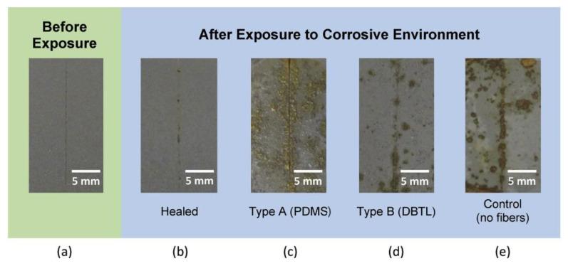 https://cdn.ncbi.nlm.nih.gov/pmc/blobs/ae9b/11123491/7d6833fb4093/materials-17-02464-g005.jpg