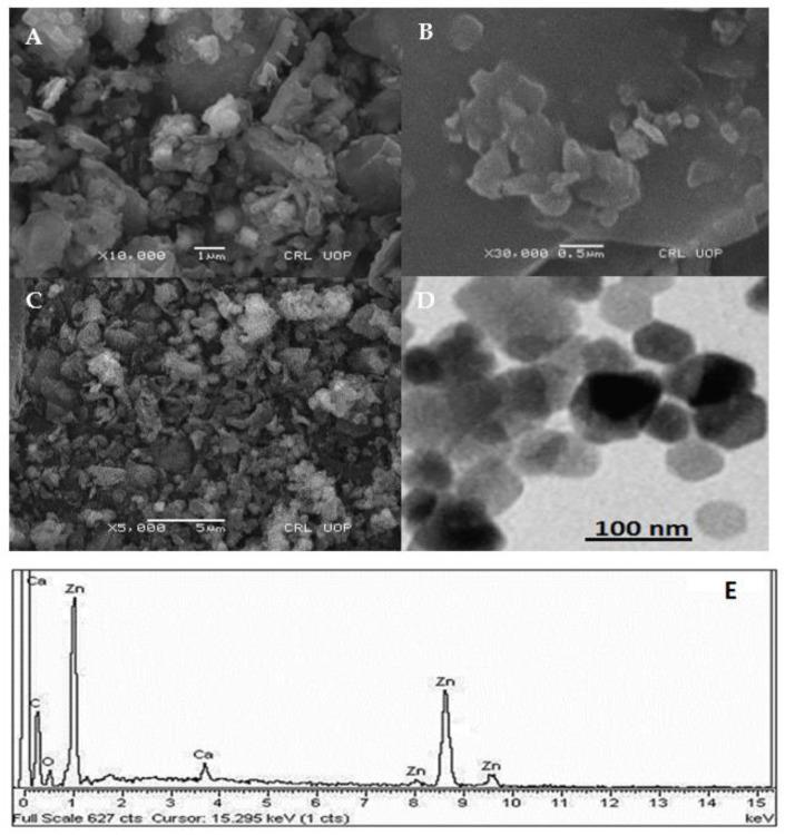 https://cdn.ncbi.nlm.nih.gov/pmc/blobs/ae9c/10343564/062ca59c0efe/molecules-28-05059-g001.jpg