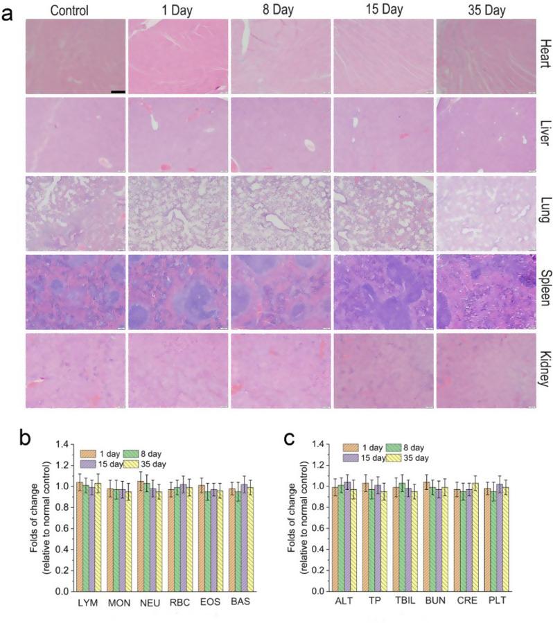 https://cdn.ncbi.nlm.nih.gov/pmc/blobs/ae9d/11657501/617ccb616c11/12951_2024_3057_Fig7_HTML.jpg