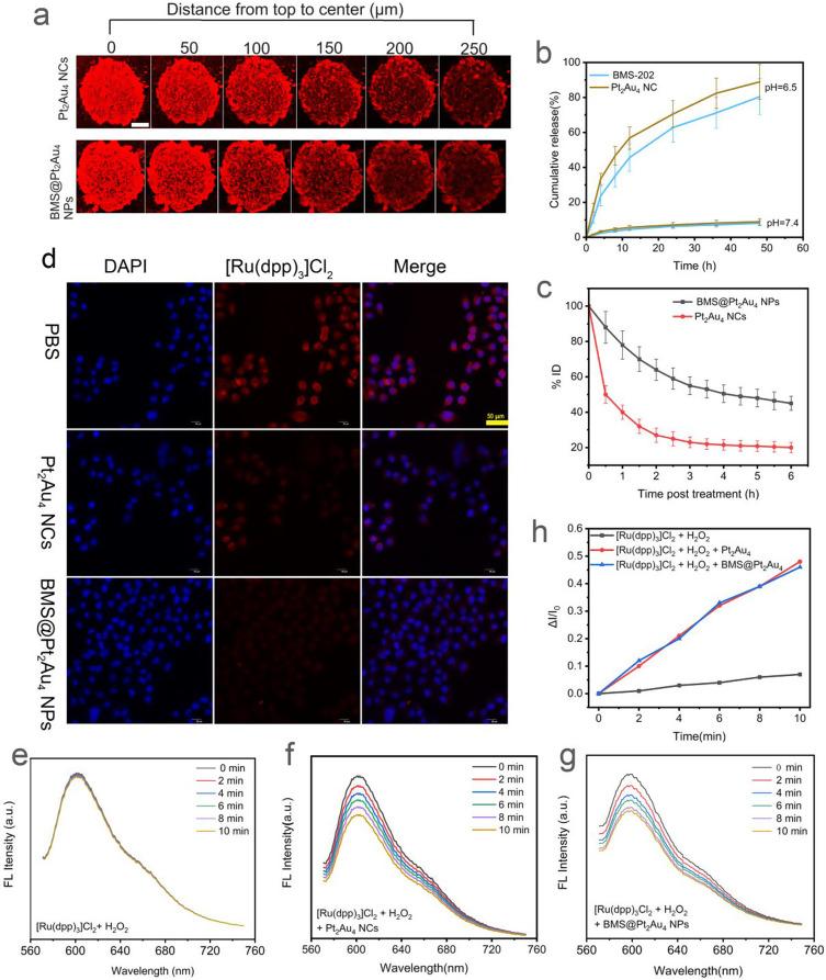 https://cdn.ncbi.nlm.nih.gov/pmc/blobs/ae9d/11657501/874e3a654665/12951_2024_3057_Fig2_HTML.jpg