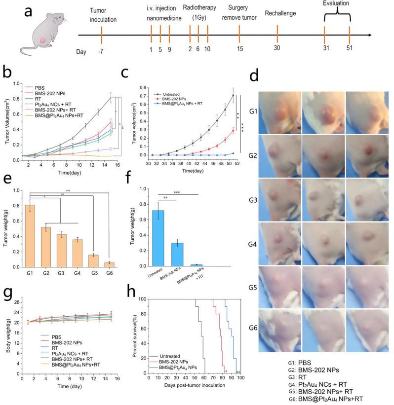 https://cdn.ncbi.nlm.nih.gov/pmc/blobs/ae9d/11657501/9a91729c1773/12951_2024_3057_Fig5_HTML.jpg